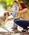 Break These Myths About Dog Food