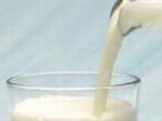 China To Produce Human Milk From Cows Aid