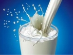 Drink Milk Stay Slim