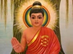 Zen Transient Spiritual Master