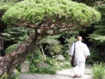 Zen Guidance To Oasis
