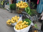 Different Varities Mango India