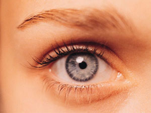 Eye