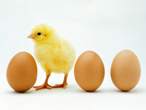 Egg