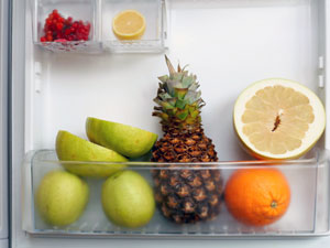 02 10 Essential Foods Refrigerator Aid0200