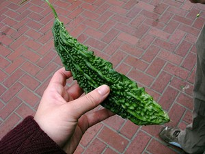 Bittergourd