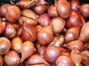 Small Onion