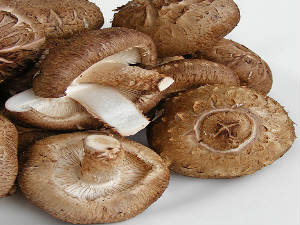 Mushroom