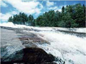 നദിക്കരയിലെ സന്യാസി നദിക്കരയിലെ സന്യാസി