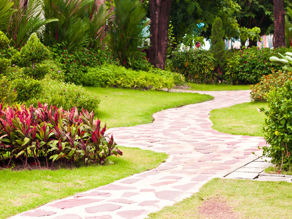 tips for seeding a lawn 