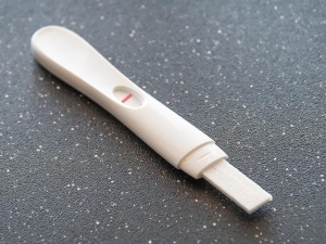 Pregnancy Test