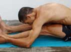 Yoga Seated Postures Yoga Seated Postures