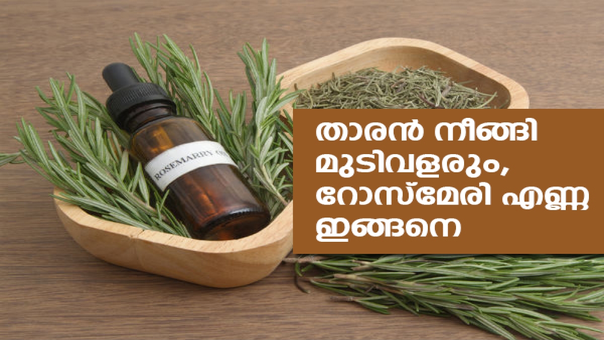 How To Use Rosemary Oil For Hair താരന്‍ നീങ്ങി മുടിവളരും, റോസ്‌മേരി