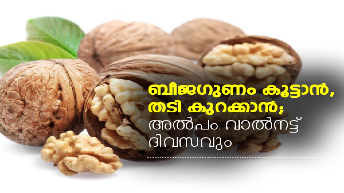 ബീജഗുണം, അമിതവണ്ണം; വാല്‍നട്ട് മികച്ചത്‌ Benefits of Eating Walnuts