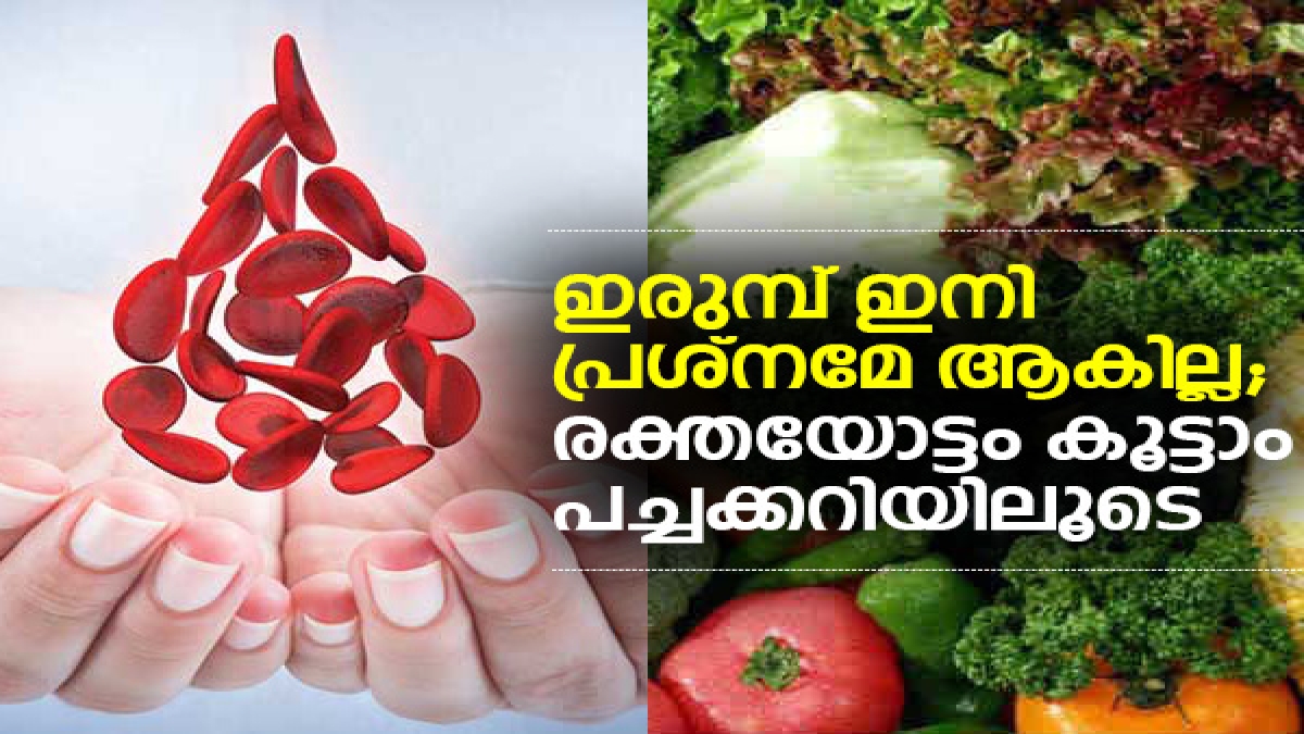 IronRich Vegetarian Foods ഇരുമ്പ് ഇനി പ്രശ്‌നമേ ആകില്ല; രക്തയോട്ടം കൂട്ടാം Malayalam BoldSky