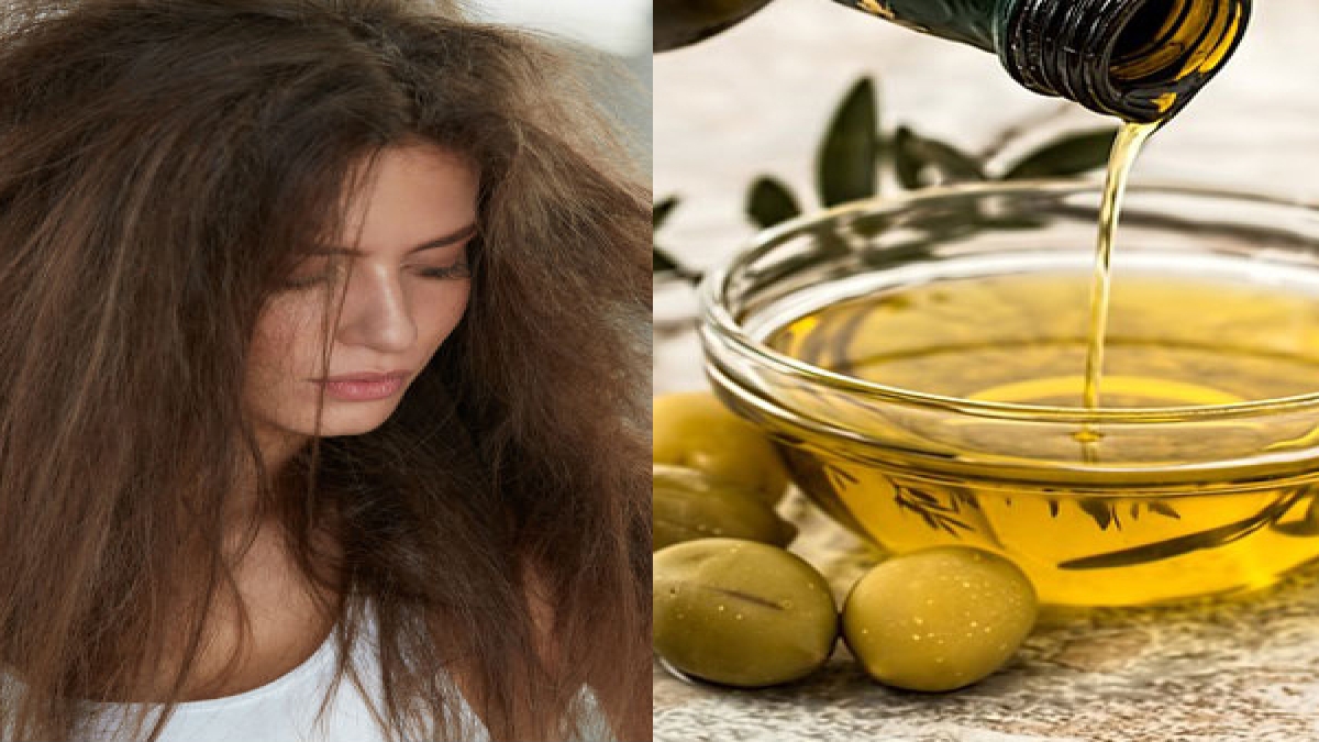 Olive Oil for Dry hair വരണ്ട മുടി പെട്ടെന്ന് മാറ്റിയെടുക്കാം;ഒലീവ്