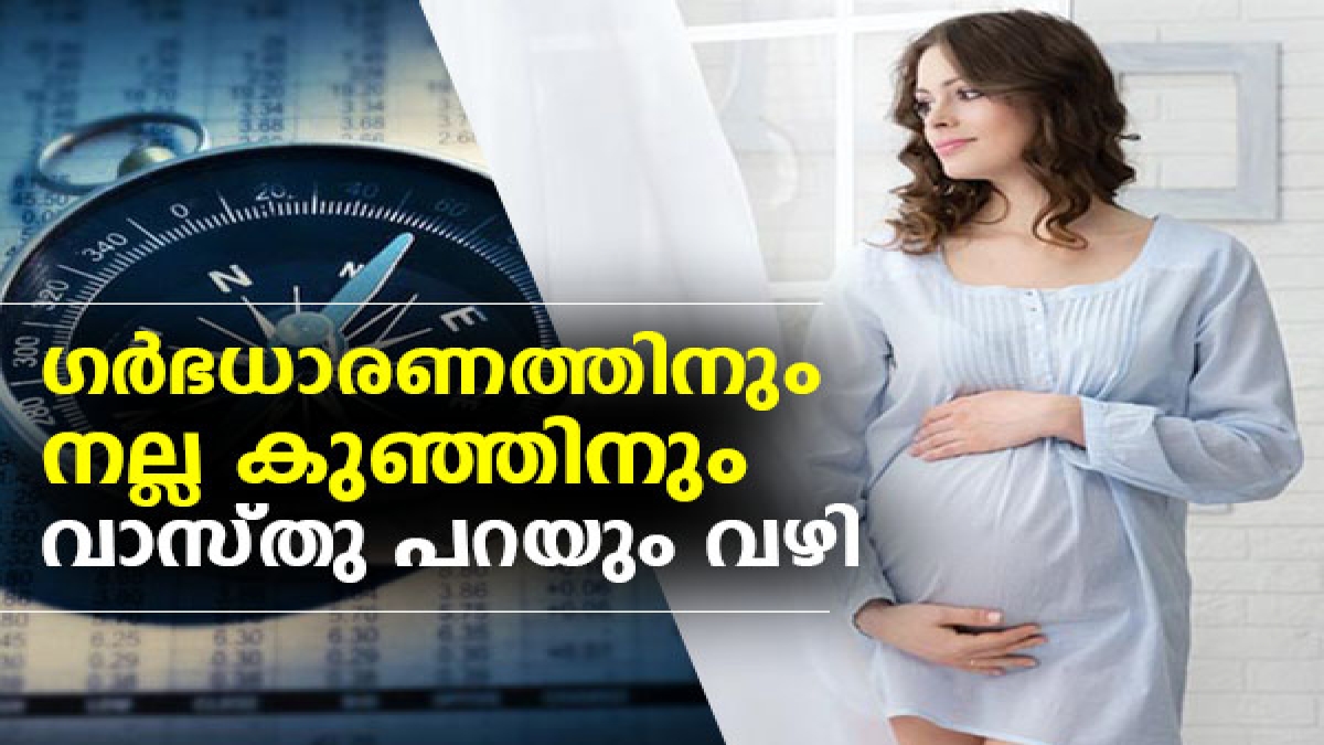 Vastu Tips For Pregnancy ഗര്‍ഭധാരണവും നല്ല കുഞ്ഞും; വാസ്തു പറയും വഴി