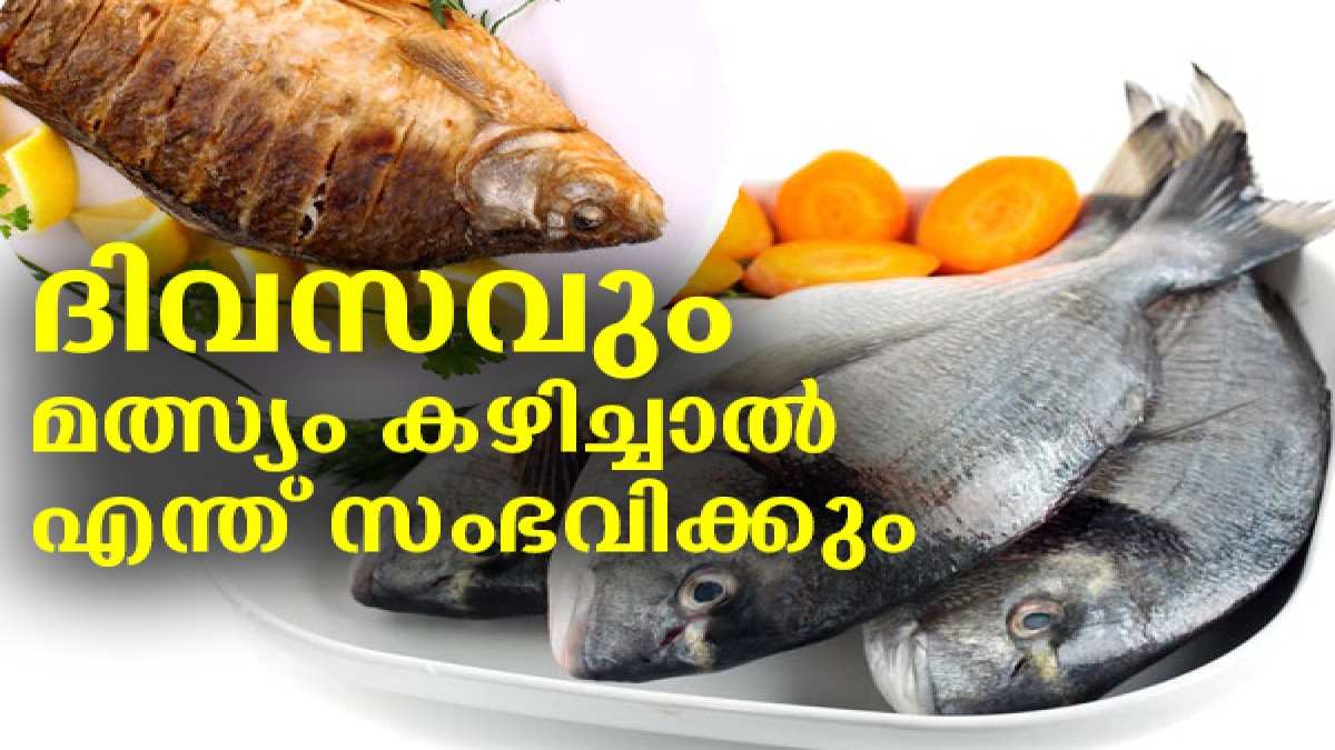 ദിവസവും മീന്‍ കഴിച്ചാല്‍ അത്ഭുത ഗുണങ്ങള്‍ ഇവയാണ് | This Happens To Your ...