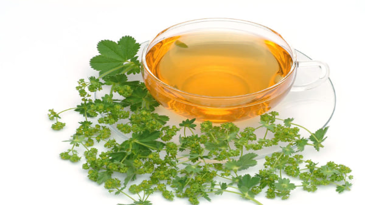 Benefits Of Coriander Leaves Tea മല്ലിയില ചായ ഏറ്റവും കൂടിയ ബിപിക്കും