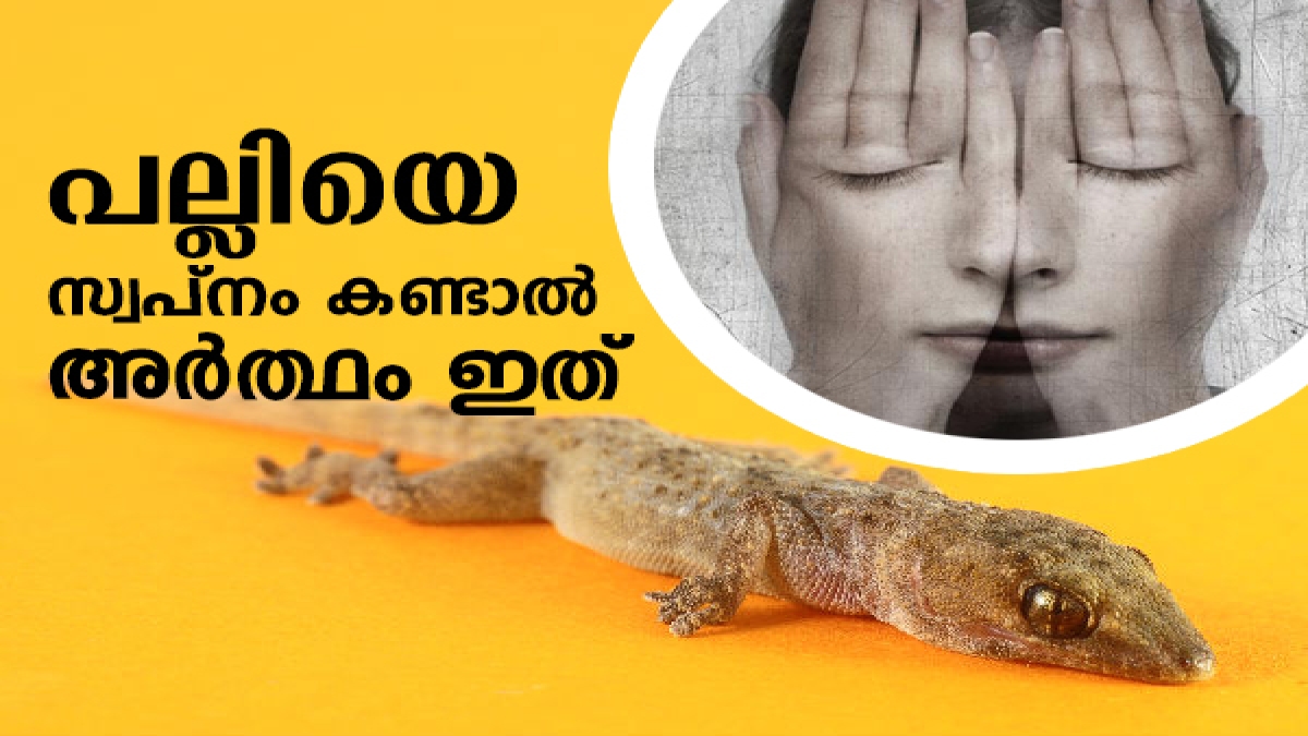 ദുര്‍നിമിത്തം, അപകട സൂചന; പല്ലിയെ സ്വപ്‌നം കണ്ടാല്‍ അര്
