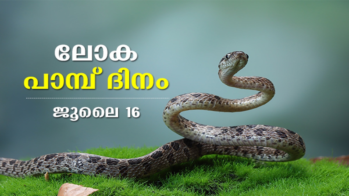 ലോക പാമ്പ് ദിനം; പാമ്പുകളെക്കുറിച്ച് നിങ്ങള്‍ അറിഞ്ഞിരിക്കേണ്ട രസകരമായ
