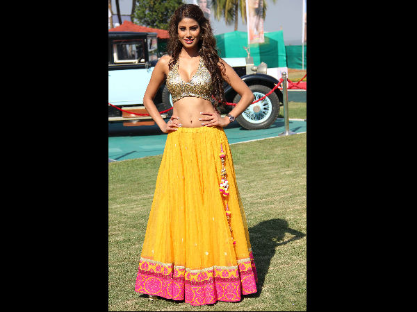 കിംഗ് ഫിഷര്‍ കലണ്ടര്‍ സുന്ദരിമാര്‍