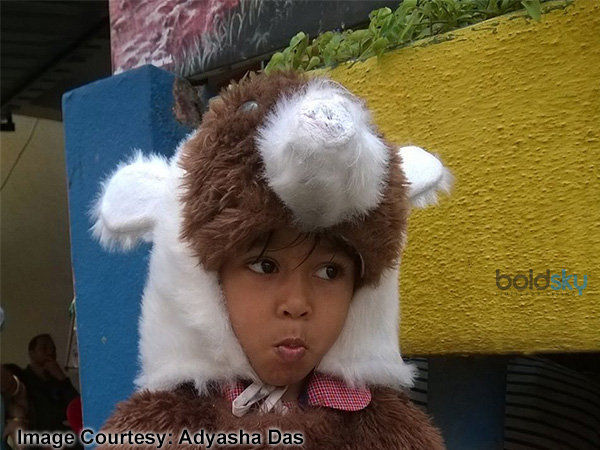 കാട്ടിലെ ചങ്ങാതി 