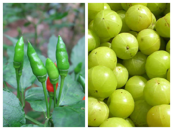 നെല്ലിക്കയും കാന്താരി മുളകും