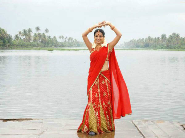 ദാവണിക്കും ആവശ്യക്കാര്