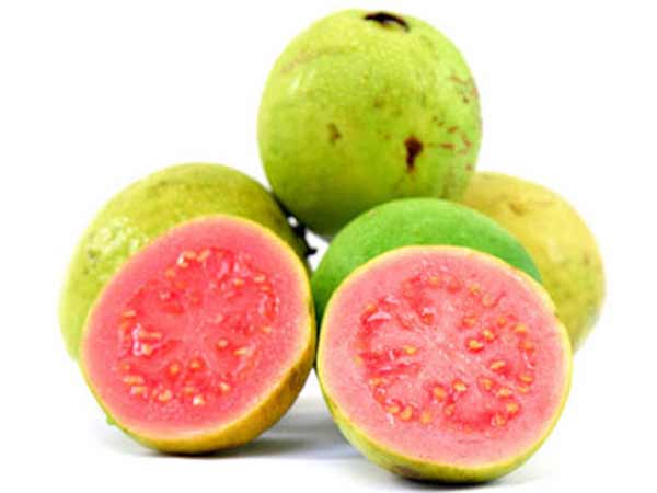 fogyhatnak e a guava levelek)