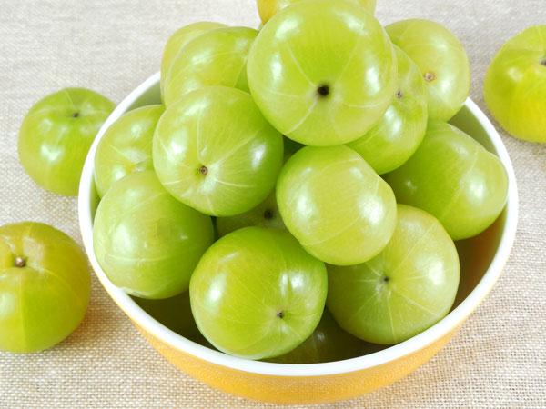 മൂത്രതടസ്സം സൃഷ്ടിക്കുന്നു