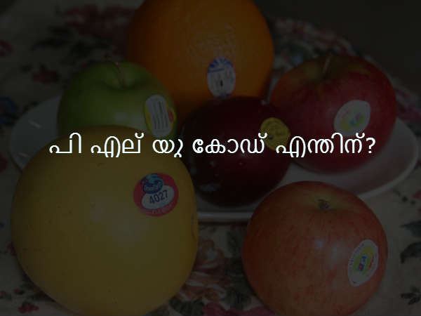 പി എല് യു കോഡ് എന്തിന്?