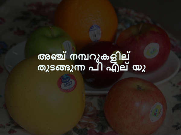 അഞ്ച് നമ്പറുകളില് തുടങ്ങുന്ന പി എല് യു