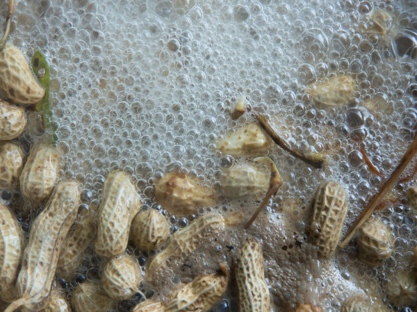 What Happens When You Eat Boiled Peanuts