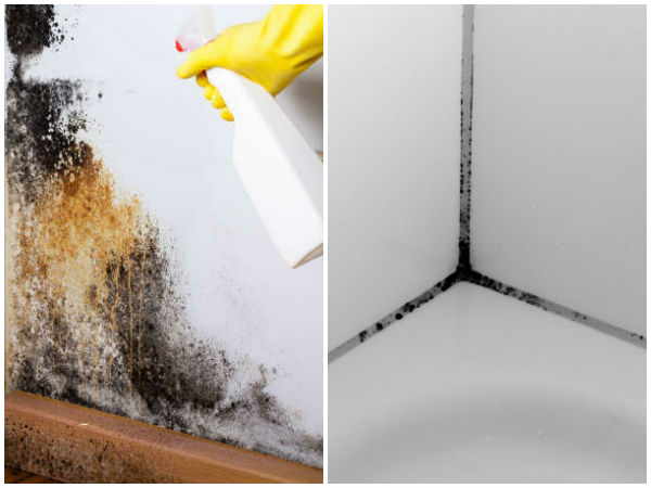 Just Spray This And Get Rid Of Black Mold Naturally And Permanently