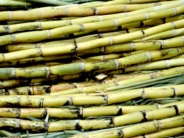 നീണ്ട കരിമ്പിൻ തണ്ടുപയോഗിച്ചു അലങ്കരിക്കുക