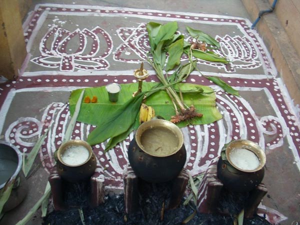 പൊങ്കൽ വിരുന്ന്