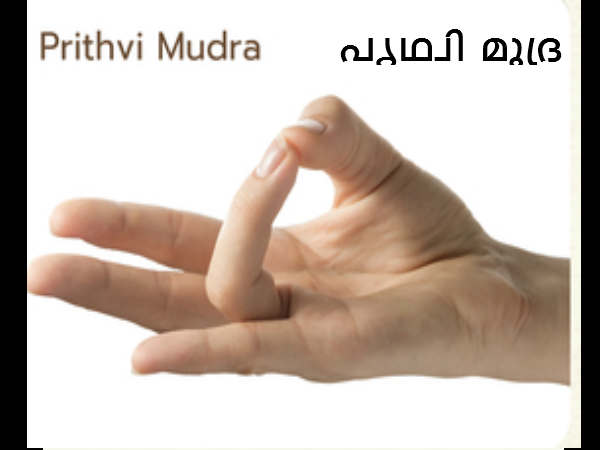 പൃഥ്വി മുദ്ര
