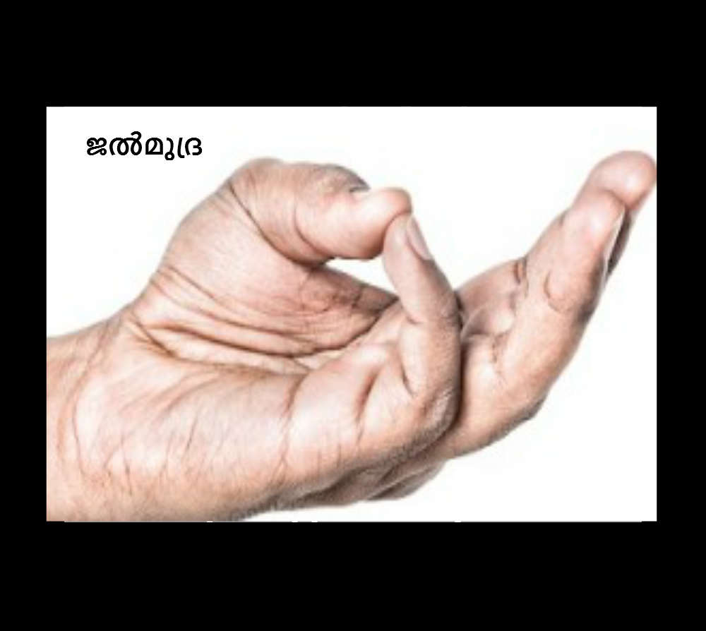 ജല്മുദ്ര