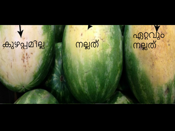 വാങ്ങിയ തണ്ണിമത്തനില് ഇതുണ്ടോ, എങ്കില്......
