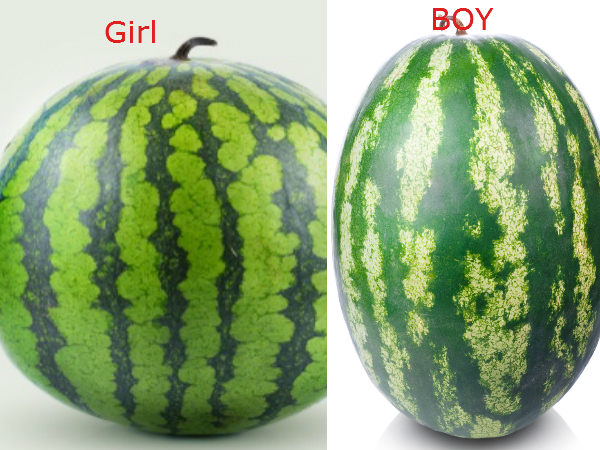വാങ്ങിയ തണ്ണിമത്തനില് ഇതുണ്ടോ, എങ്കില്......