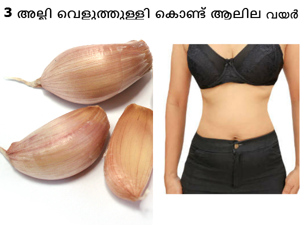 3 അല്ലി വെളുത്തുള്ളി കൊണ്ട് ഒതുങ്ങിയ വയര്