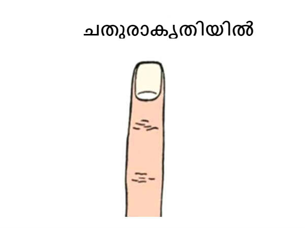 ചതുരാകൃതിയില്