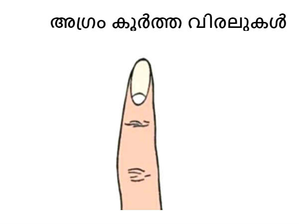 അഗ്രം കൂര്ത്ത വിരലുകള്