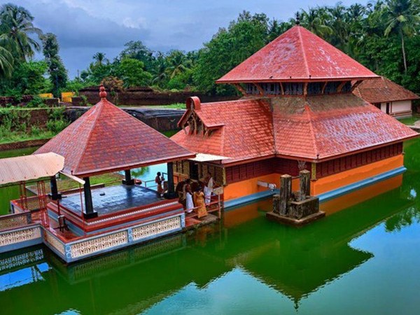 ആരേയും ഉപദ്രവിക്കാതെ