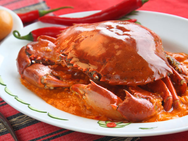 ഓയ്സ്റ്റേഴ്സ്
