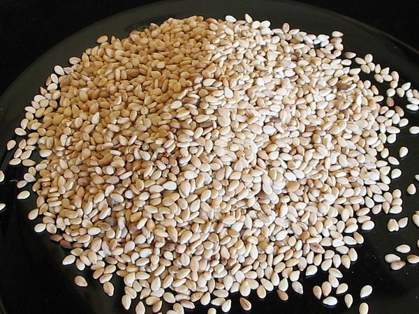 ഉപയോഗിക്കേണ്ട വിധം