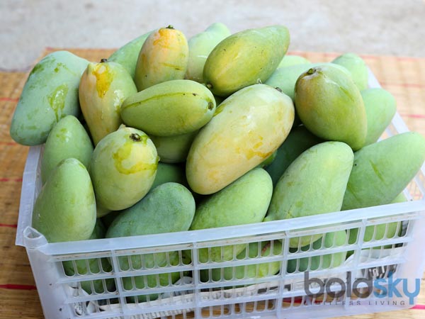 വൈറ്റമിന് സി
