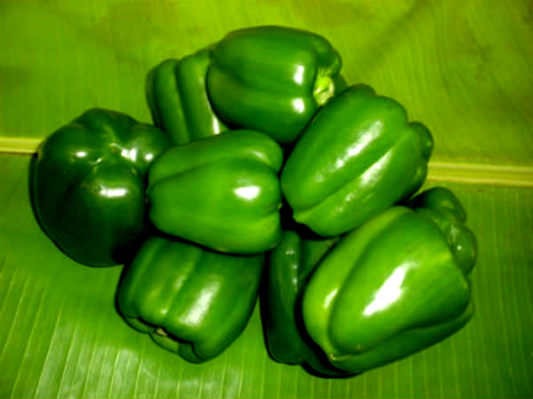 കലോറിയെ കൂടുതലായി ദഹിപ്പിക്കുന്നു
