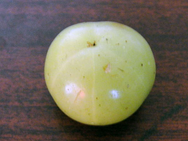 നെല്ലിക്ക